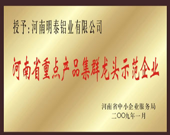 河南省重點產品集群龍頭示范企業(yè)